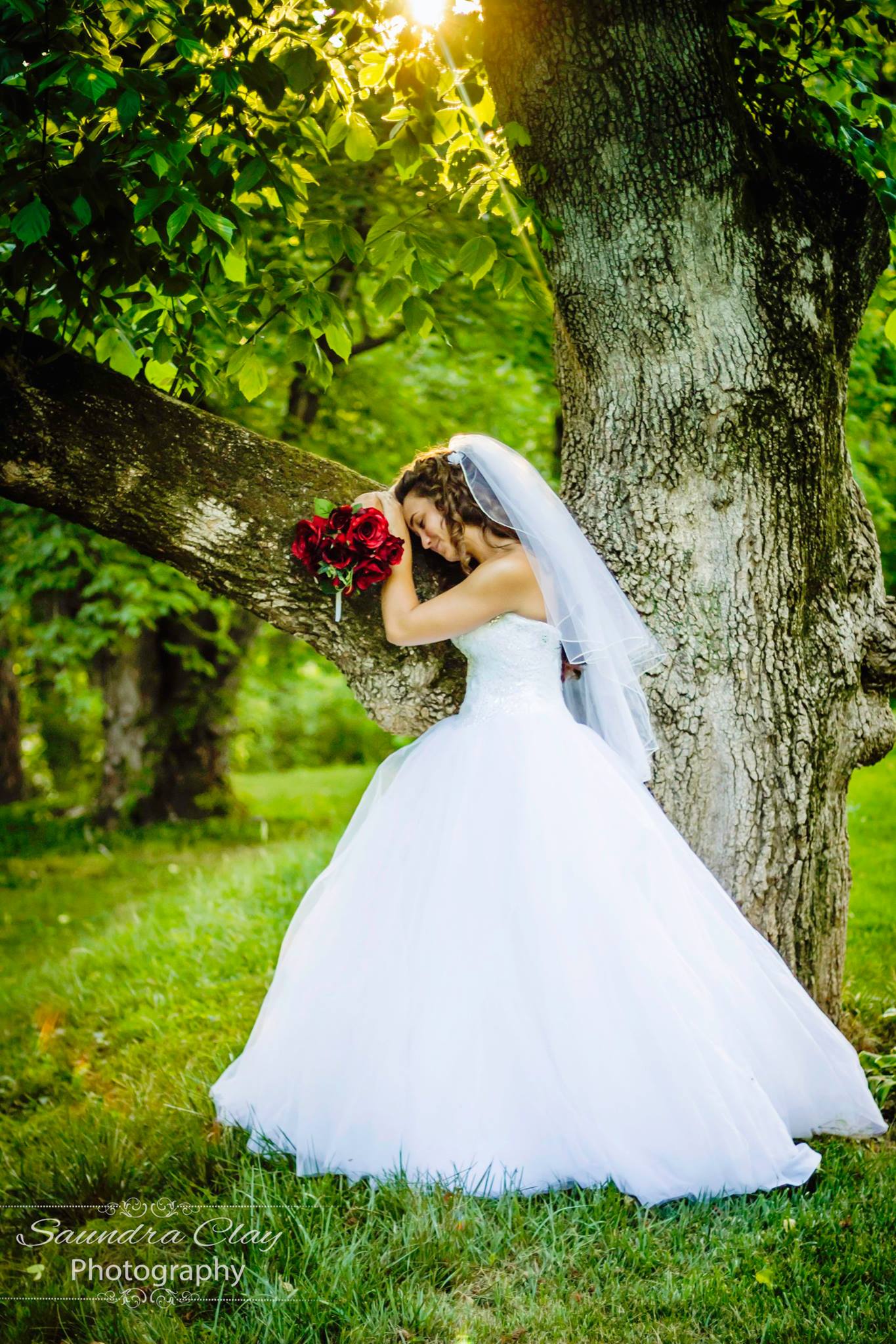 megan_tree – New Beginnings Historic Farm